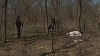 Peste o sută de pisici moarte, descoperite într-un parc din municipiul Buzău