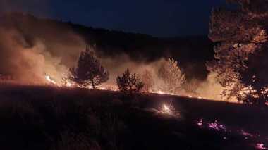 Ministrul Mediului: Anul acesta înregistrăm, din păcate, un record al numărului incendiilor de pădure. Toţi cei peste 7.000 de angajaţi ai Romsilva, cu atribuţii în prevenirea şi stingerea incendiilor de pădure, trebuie să patruleze pe teren 