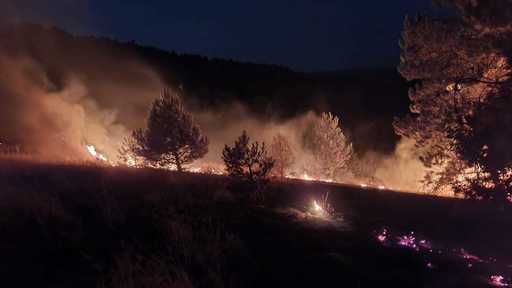 Ministrul Mediului: Anul acesta înregistrăm, din păcate, un record al numărului incendiilor de pădure. Toţi cei peste 7.000 de angajaţi ai Romsilva, cu atribuţii în prevenirea şi stingerea incendiilor de pădure, trebuie să patruleze pe teren 