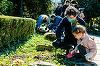 PMB întreprinde în acest week-end o amplă acţiune de plantare de flori şi plante în Parcul Cişmigiu / Nicuşor Dan: Treptat, vom face în aşa fel încât acest parc să arate corespunzător - FOTO
