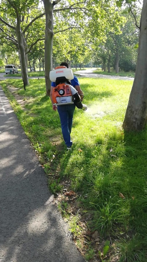 Nicuşor Dan anunţă că marţi începe, în parcuri, primul tratament de combatere a căpuşelor, din cele patru programate în acest an