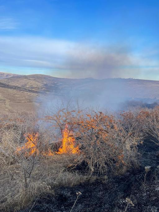 Două sesizări penale, făcute de Garda de Mediu Buzău în urma incendiilor de vegetaţie uscată care au afectat două arii protejate