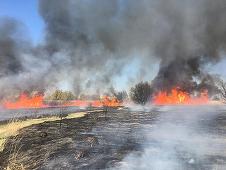 UPDATE - Incendiu de vegetaţie în Parcul Natural Văcăreşti, cu degajări mari de fum / Mesaj RO Alert / Precizările meteorologilor / Focul a fost stins / Precizările Administraţiei Parcul Natural Văcăreşti  - FOTO
