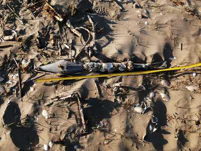 Tulcea: Obiectul găsit pe plaja de la Sfântu Gheorghe este o "lovitură inertă" de aruncător de grenade, veche de mai bine de 20 de ani. Aceasta a fost detonată de militari - FOTO, VIDEO