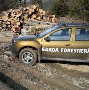 Garda Forestieră Cluj, amenzi în valoare de aproape 650.000 de lei, în martie / S-au confiscat peste 2.400 de metri cubi de lemne şi s-au întocmit trei dosare de sesizare penală  