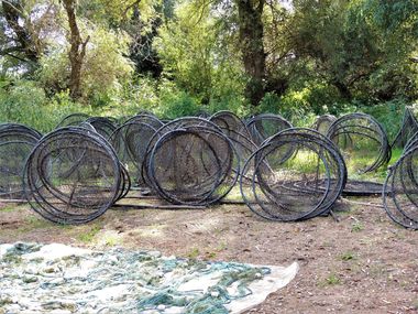 Prohibiţie generală în Rezervaţia Biosferei Delta Dunării, începând de sâmbătă