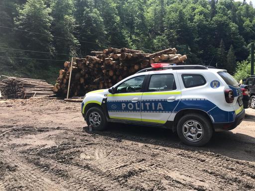 Bătaie în trafic, în judeţul Argeş, din cauza unui transport cu lemne. Printre cei implicaţi, primarul şi viceprimarul localităţii Topana din Olt 