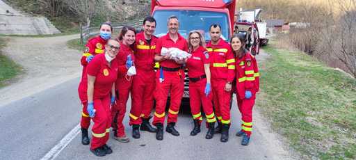Cluj: O femeie a născut o fetiţă în autospeciala SMURD care o transporta la spital / Mama şi fiica sunt în stare bună  

 