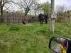 Vâlcea: Un urs a intrat într-o gospodărie din zona Feteni / Nu au fost persoane sau alte animale rănite