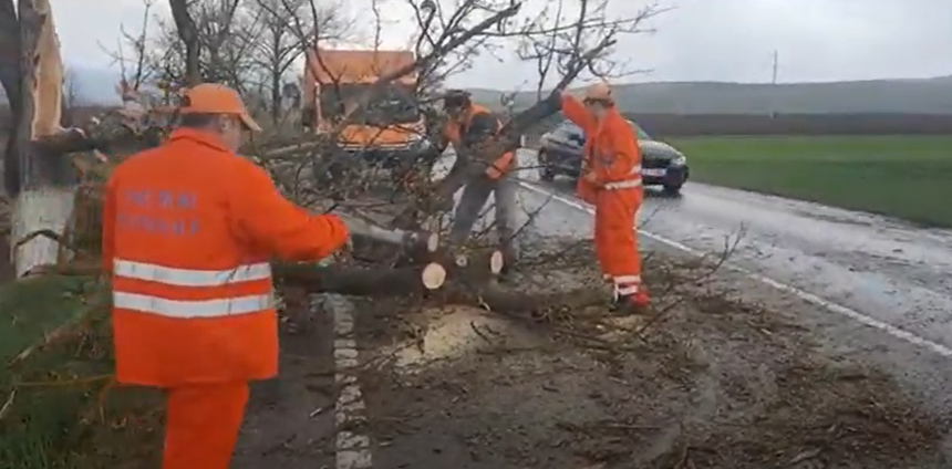 Intervenţii ale pompierilor în judeţele Bistriţa, Harghita şi Mureş, din cauza vremii / Copaci căzuţi pe carosabil, un drum surpat şi gospodării inundate