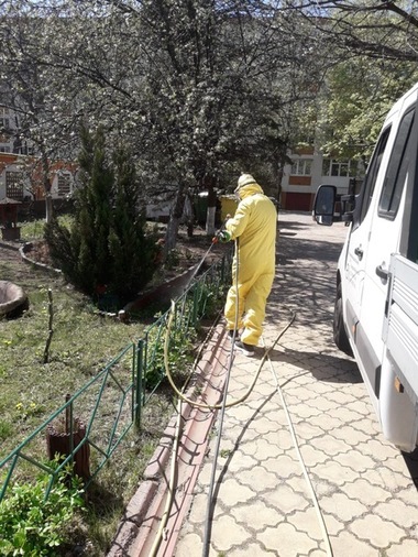 Primăria Capitalei a început tratamentele de combatere a larvelor de ţânţari / Sunt programate şapte tratamente lunare 