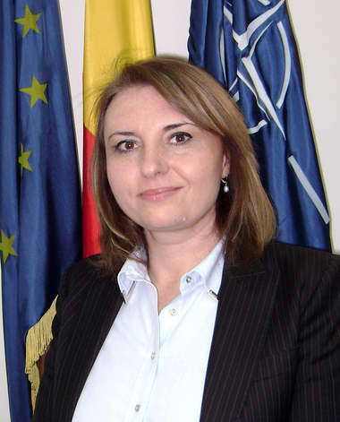 Secretar de stat în MApN, la un forum al diplomaţiei: Mobilizarea fără precedent a NATO arată clar că intenţiile Kremlinului de a-i dezbina pe Aliaţi au eşuat