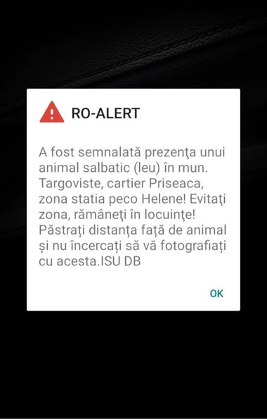 UPDATE - Autorităţile din Dâmboviţa nu au găsit leul a cărui prezenţă a fost semnalată prin mai multe apeluri la 112 / Jandarmii continuă patrularea în cartierul de la marginea municipiului Târgovişte 