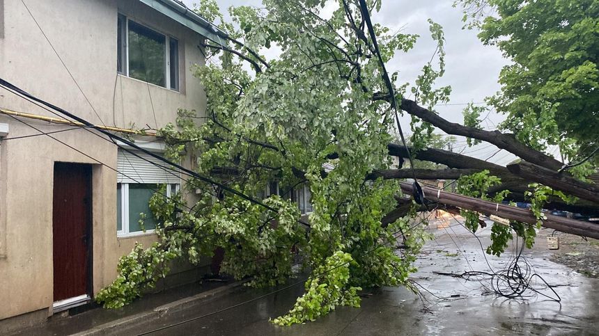 Furtuna a afectat judeţul Iaşi: Copaci căzuţi pe şosele, localităţi fără curent electric şi circulaţie rutieră îngreunată în municipiu