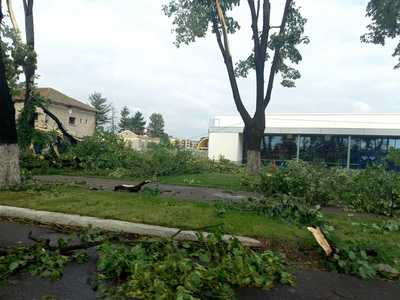 Teleorman: Şapte acoperişuri luate de vânt şi zeci de copaci căzuţi, după furtuna pentru care meteorologii au emis cod roşu