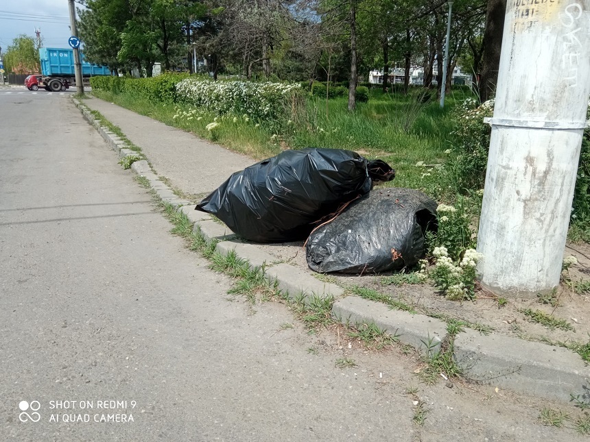 Bucureştean amendat cu 10.000 de lei după ce a fost filmat în repetate rânduri depozitând gunoi pe o stradă din sectorul 6 - VIDEO
