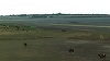 Buzău - Lacul Amara, cu o suprafaţă de 800 de hectare, a secat complet - FOTO
