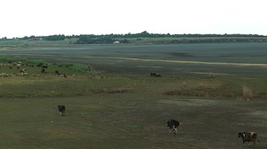 Buzău - Lacul Amara, cu o suprafaţă de 800 de hectare, a secat complet - FOTO