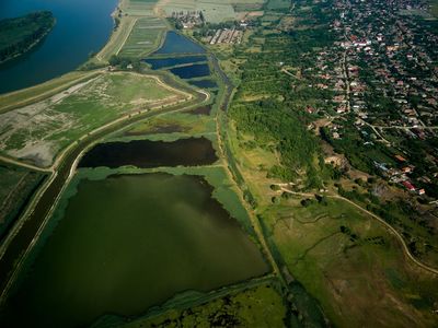 Mehedinţi: Peste 400 de hectare de luncă inundabilă, reconstruite ecologic şi redate naturii. Mica deltă adăposteşte zeci de specii, unele dintre ele ameninţate cu dispariţia - FOTO
