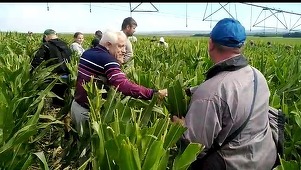 Petre Daea, ministrul Agriculturii, după ce a vizitat un fermier din judeţul Iaşi: În agricultură nu se ţine seama de zilele libere, ci de pretenţiile animalelor şi plantelor, cărora le lipseşte din codul genetic calendarul odihnei