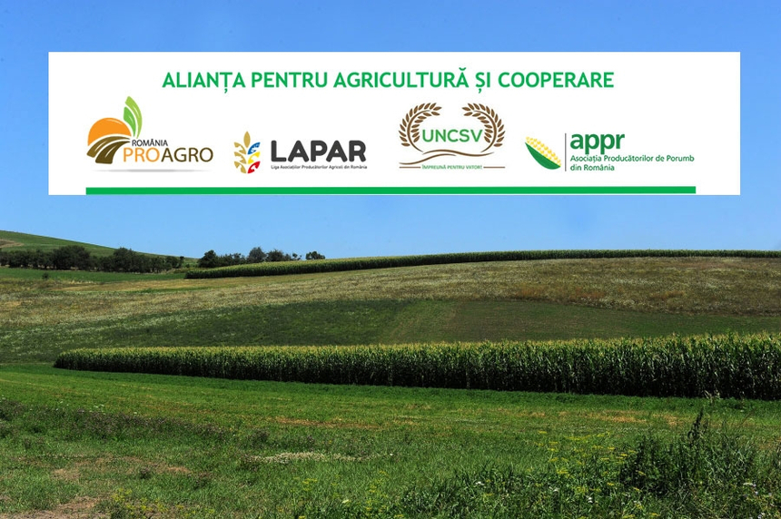 Alianţa pentru Agricultură şi Cooperare, scrisoare deschisă către premierul Nicolae Ciucă şi ministrului Agriculturii, în care le cer să iniţieze de urgenţă demersurile pentru declararea stării de calamitate datorate secetei, până la 31 iulie 2022