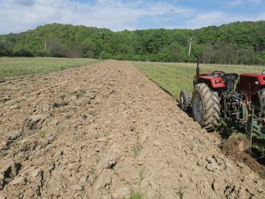 Guvernul a aprobat instituirea unei scheme de ajutor de stat pentru reducerea accizei la motorina utilizată în agricultură / Se suplimentează cu aproximativ 28 milioane lei suma alocată pentru anul 2022 