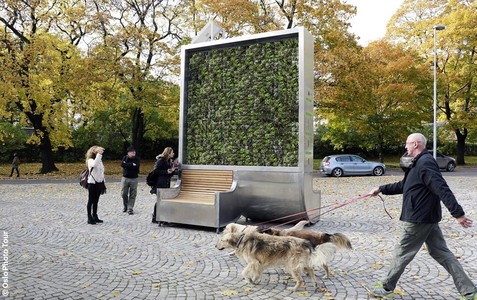 Un „copac urban”, dotat cu ventilatoare care purifică aerul, va fi montat la Braşov. Instalaţia are capacitate de filtrare egală cu cea a 275 de pomi