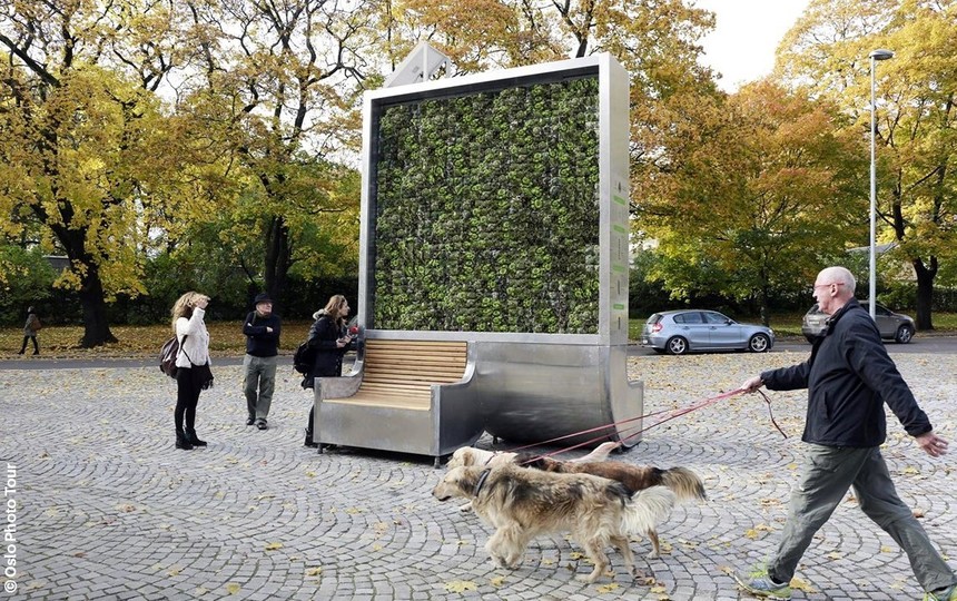Un „copac urban”, dotat cu ventilatoare care purifică aerul, va fi montat la Braşov. Instalaţia are capacitate de filtrare egală cu cea a 275 de pomi