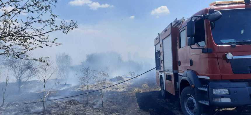 UPDATE Dolj: Incendiu de vegetaţie uscată, sunt afectate peste peste zece hectare / Pompierii au reuşit să îl stingă şi au aflat şi cauza - FOTO, VIDEO