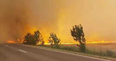 UPDATE Teleorman: Incendiul de vegetaţie din apropiere de Vităneşti a fost stins / Nu sunt victime, însă traficul rutier e în continuare oprit - FOTO