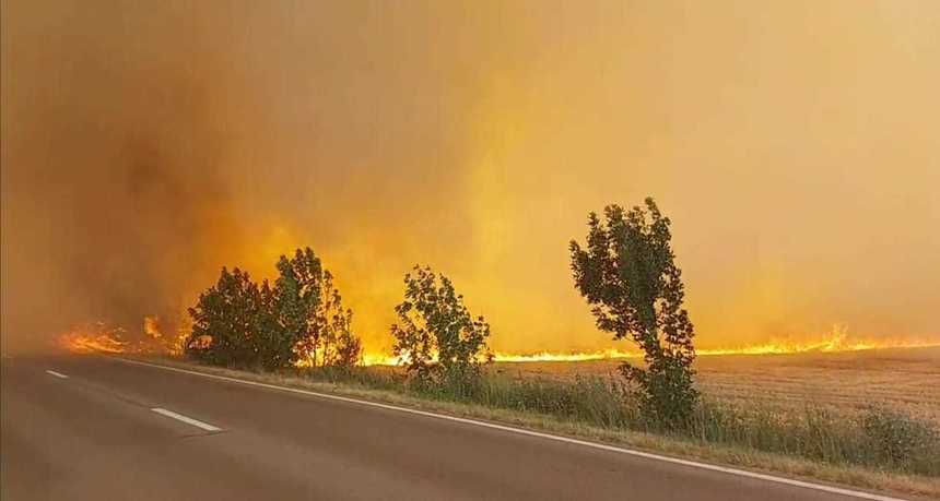 UPDATE Teleorman: Incendiul de vegetaţie din apropiere de Vităneşti a fost stins / Nu sunt victime, însă traficul rutier e în continuare oprit - FOTO