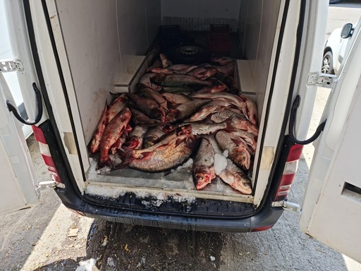 Hala Obor din Bucureşti ar putea fi închisă pentru o perioadă de până la un an. Comisarii ANPC au găsit mizerie, cabluri electrice neprotejate, zone cu paviment denivelat şi gresie spartă sau ciobită - FOTO
