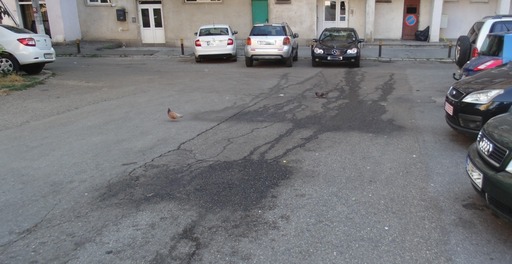 Deva: Amenzi de 10.000 de lei pentru societatea de salubrizare, după ce din maşinile de gunoi a curs levigat pe străzi