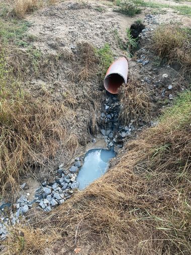 Garda de Mediu a amendat cu 80.000 de lei o firmă care se ocupă cu eliminarea sau reciclarea carcaselor de animale, pentru poluarea accidentală a râului Ialomiţa