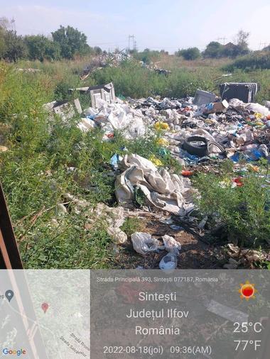 Nou control al Gărzii de Mediu, poliţiştilor şi jandarmilor la Sinteşti - Amenzi în valoare de 450.000 de lei, 5 măsuri de suspendare a activităţii şi 2 notificări în vederea suspendării activităţii unor operatori economici