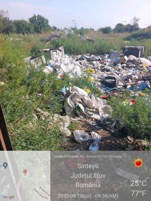 Nou control al Gărzii de Mediu, poliţiştilor şi jandarmilor la Sinteşti - Amenzi în valoare de 450.000 de lei, 5 măsuri de suspendare a activităţii şi 2 notificări în vederea suspendării activităţii unor operatori economici