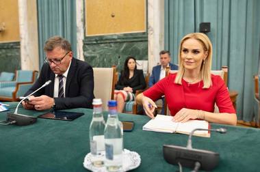 Gabriela Firea: Majorăm standardele de cost pentru serviciile sociale destinate protecţiei şi promovării drepturilor copilului, persoanelor adulte cu dizabilităţi şi persoanelor vârstnice