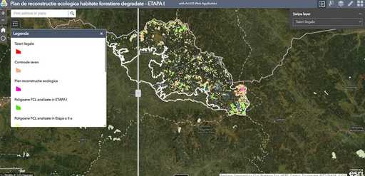 Ministerul Mediului a început procesul de identificare în teren a habitatelor forestiere degradate, în vederea întocmirii planului de reconstrucţie ecologică / Prima etapă vizează peste 2.300 de hectare