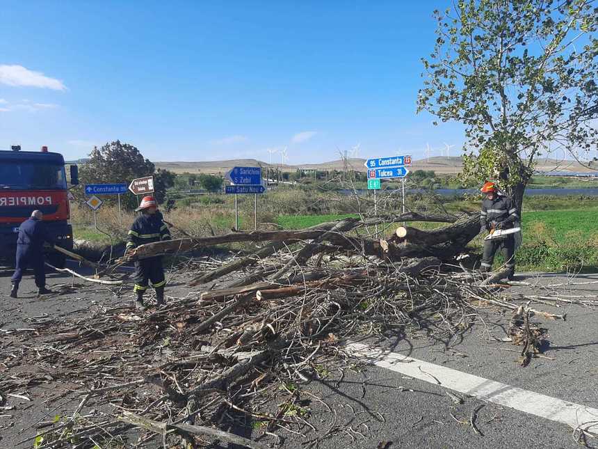 Copac căzut pe o casă din Tulcea / Alte crengi au fost rupte de vânt şi au căzut pe carosabil, dar şi pe două maşini parcate, fiind îndepărtate de pompieri - FOTO
