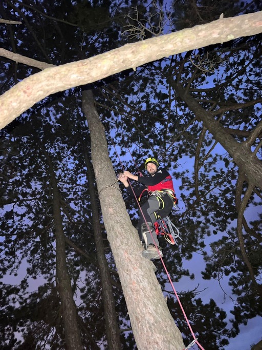 UPDATE Braşov: Intervenţie a Salvamont după ce un parapantist a rămas blocat într-un copac / După peste trei ore, parapantistul a fost coborât în siguranţă - FOTO