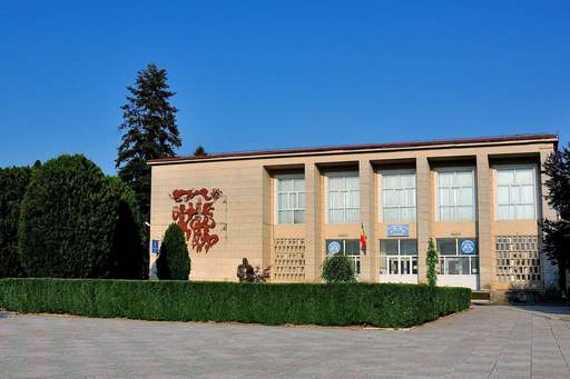FDGR susţine că primarul din Făgăraş ”intimidează opoziţia” din Consiliul Local pentru a vota proiectele propuse de el şi că participanţi la sedinţe au agresat fizic şi verbal consilieri ”care au altă părere decât primarul”/ Edilul respinge acuzaţiile