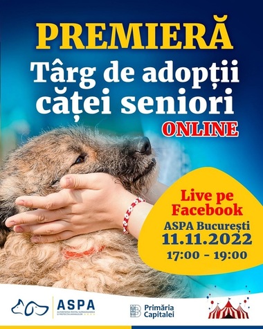 Târg online pentru căţeii seniori din centrele ASPA