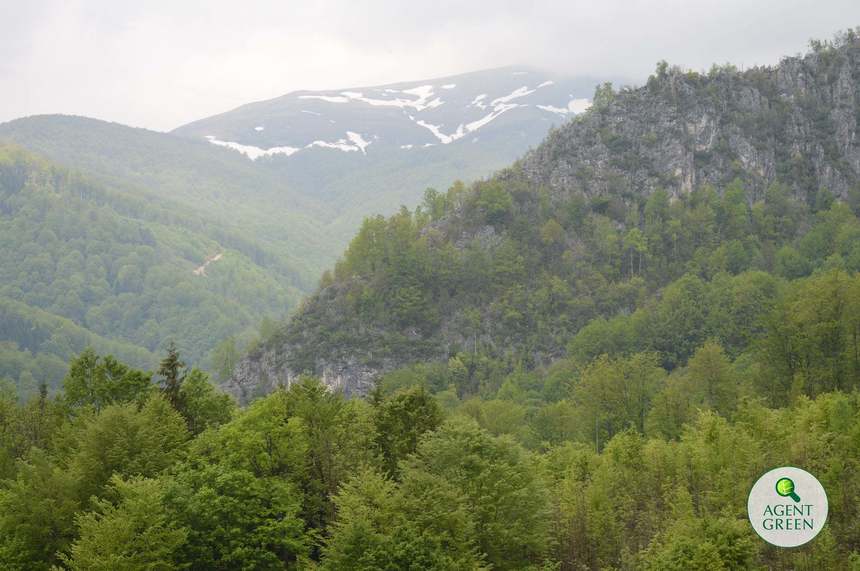 Academia Română a câştigat definitiv procesul în care a cerut anularea unor titluri de proprietate prin care moştenitoarele unei familii de cneji primeau mii de hectare de teren în Parcul Naţional Retezat 