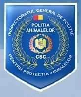Dosar penal, după un control al poliţiştilor la un adăpost pentru câini fără stăpân din Oradea / Nu au fost respectate condiţiile de deţinere a animalelor, de igienă, hrană şi îngrijiri medicale / Şeful ADP: Sunt condiţii bune