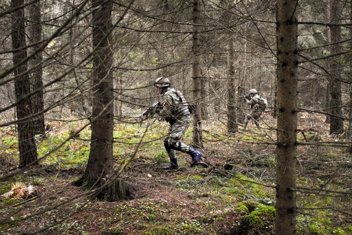 Aproximativ 600 de militari români şi militari din Franţa, Polonia, Portugalia şi SUA vor participa la exerciţiul ”Black Scorpions 22.8”, la Cincu