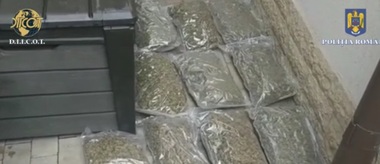 Constanţa: Două persoane au fost reţinute pentru trafic de droguri / În urma unor percheziţii poliţiştii au găsit aproape 30 de kilograme de droguri şi mai multe sume de bani -VIDEO