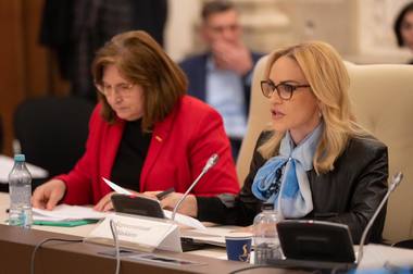 Bugetul Ministerului Familiei, avizat favorabil / Firea: Le mulţumesc tuturor colegilor parlamentari care au votat pentru acest buget şi au înţeles necesitatea tuturor proiectelor pentru care am cerut finanţare 