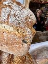 Tăvi înnegrite de arsură, cu depuneri de murdărie, printre care se plimbau gândaci, la o brutărie din Timişoara/ ANPC a dat amenzi de 30.000 de lei, a retras de la consum produse şi a suspendat activitatea firmei - FOTO, VIDEO