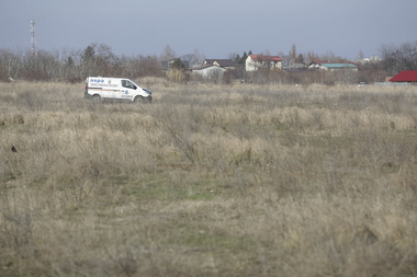 UPDATE - O femeie care alerga în zona Lacului Morii, din Sectorul 6 al Capitalei a decedat după ce a fost muşcată de câini / Femeia a fost atacată în aceeaşi zonă şi anul trecut / Reacţia Primăriei / ASPA: Capturarea câinilor nu rezolvă cauza, ci efectul