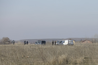 Consilierul general Diana Mardarovici cere demisia imediată a directorului ASPA, după ce o femeie a fost omorâtă de câini în zona Lacul Morii: Sunt şocată. Este trist să te gândeşti că nu poţi fi în siguranţă în oraşul tău